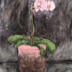 Тайна цветка