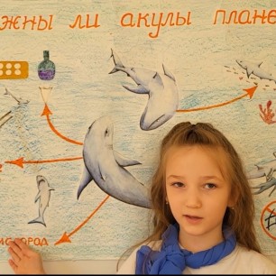 Нужны ли акулы планете?