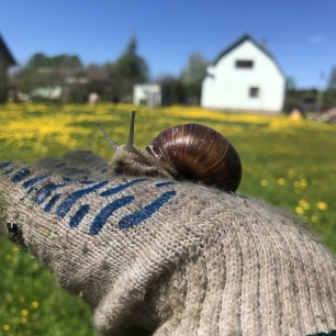 Добрый сосед