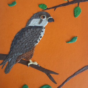 Чеглок — птица семейства соколиных.