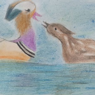 Уточки - мандариночки