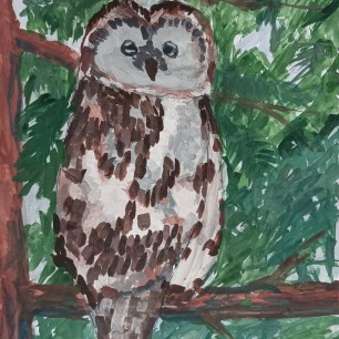 Мохноногий сыч