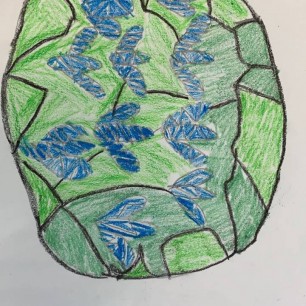 Первые цветы