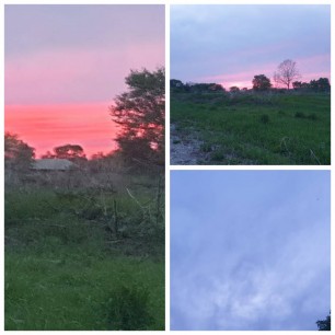 Красота вокруг.