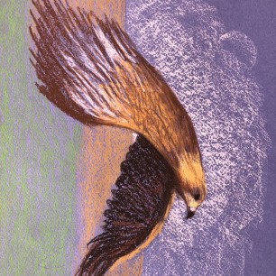 «Степной орел»