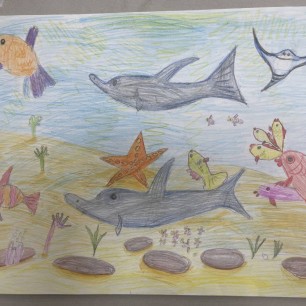 Утро в подводном мире