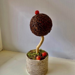 Кофейное дерево с мандаринами