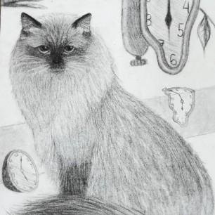 Кот Сальвадор