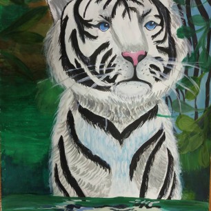 Тигр на водопое