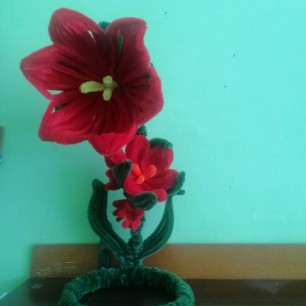 Цветочная радость