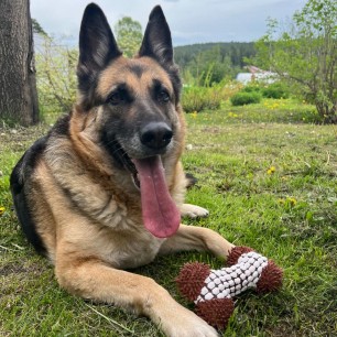 Мой лучший друг