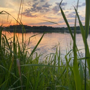Родной край