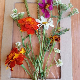 Летний букет