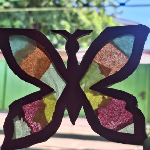 Бабочка из моего сада