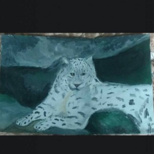 Исчезающий вид кошек.