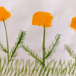 "Желтые солнышки"