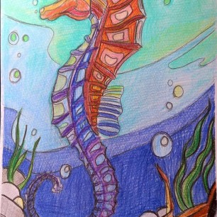 Морской конек — загадка водной тиши