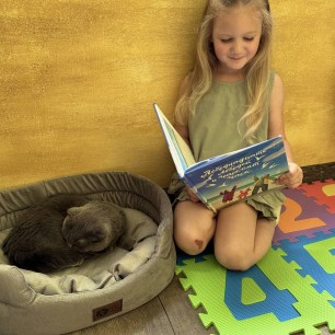 Книголюб Кира и засоня Боня