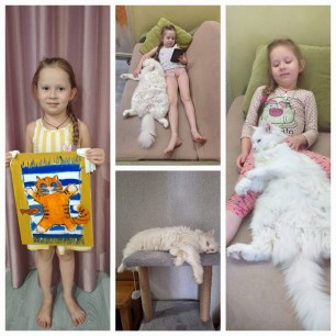 "Кошачьи  радости"