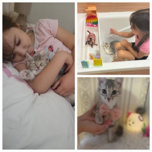 "Любимый друг."