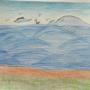 Морские животные
