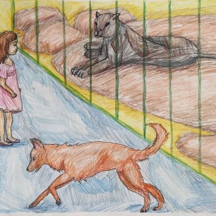 В мире животных