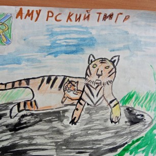 Амурский тигр