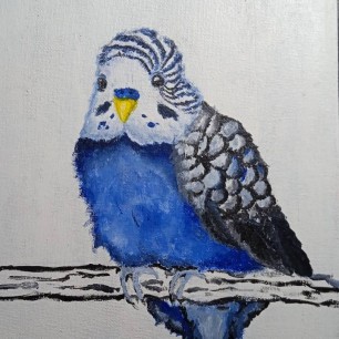 Любимый попугайчик