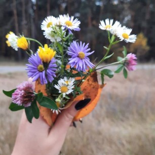 "Августа букет"