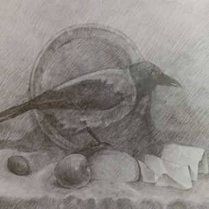 Любопытная ворона