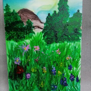 Софийская поляна