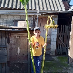 "Вот таким, я вижу счастье!"