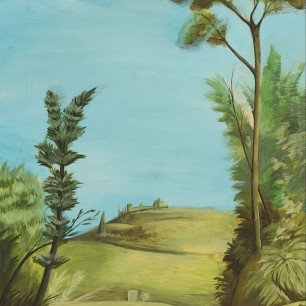 Зеленые просторы