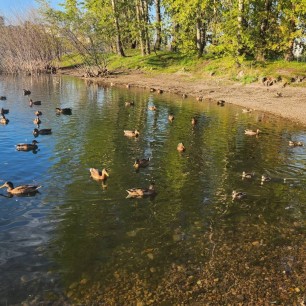 Мгновения лета