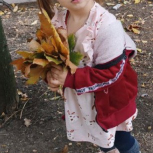 Вот и осень наступила...