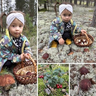 Дары природы