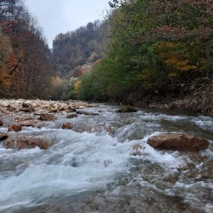Осень художница