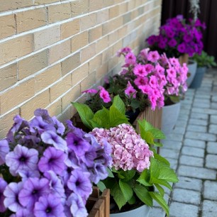 Краски лета