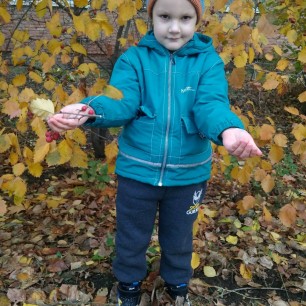 Осени яркие краски