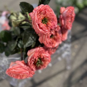 Цветочная феерия