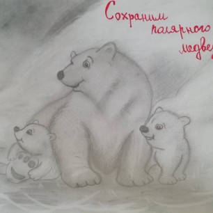 "Сохраним полярного медведя"