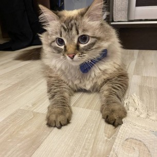 Именинник по кличке " Мигель" принимает поздравления с днем рождения