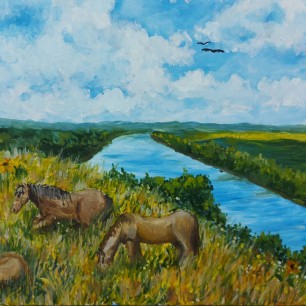 Родные просторы