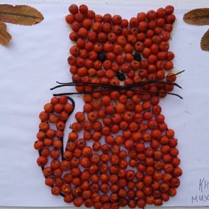 Котёнок