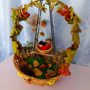 " Чудеса осенней природы"