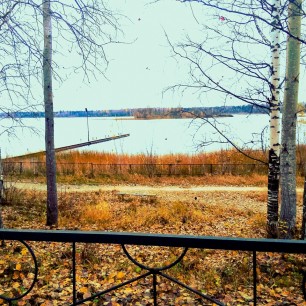 Осень золотая