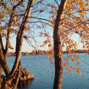 "Краски осени"