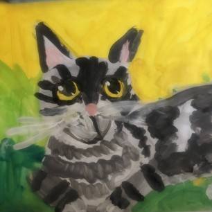 милый котик