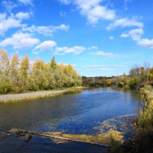 "Красота осени"