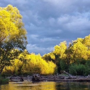 Осень над Амуром